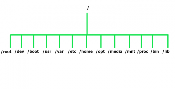 Linux File System